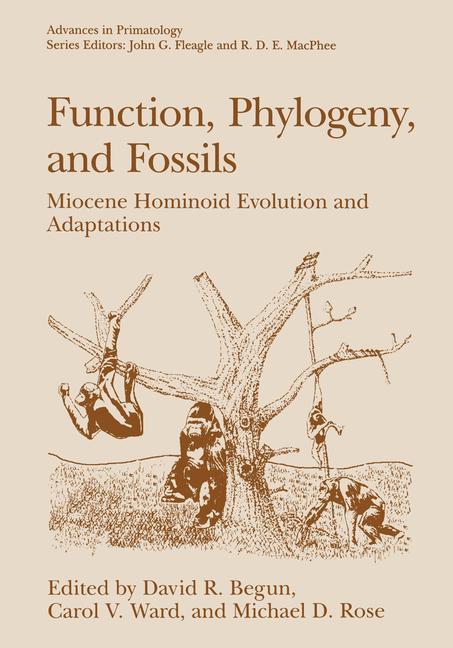 Function, Phylogeny, and Fossils