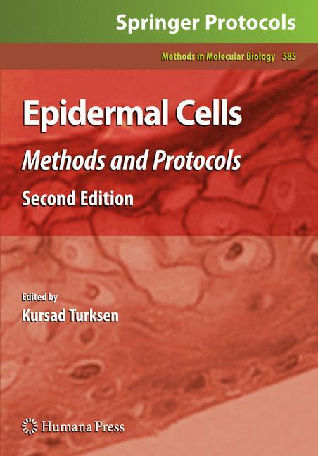 Epidermal Cells