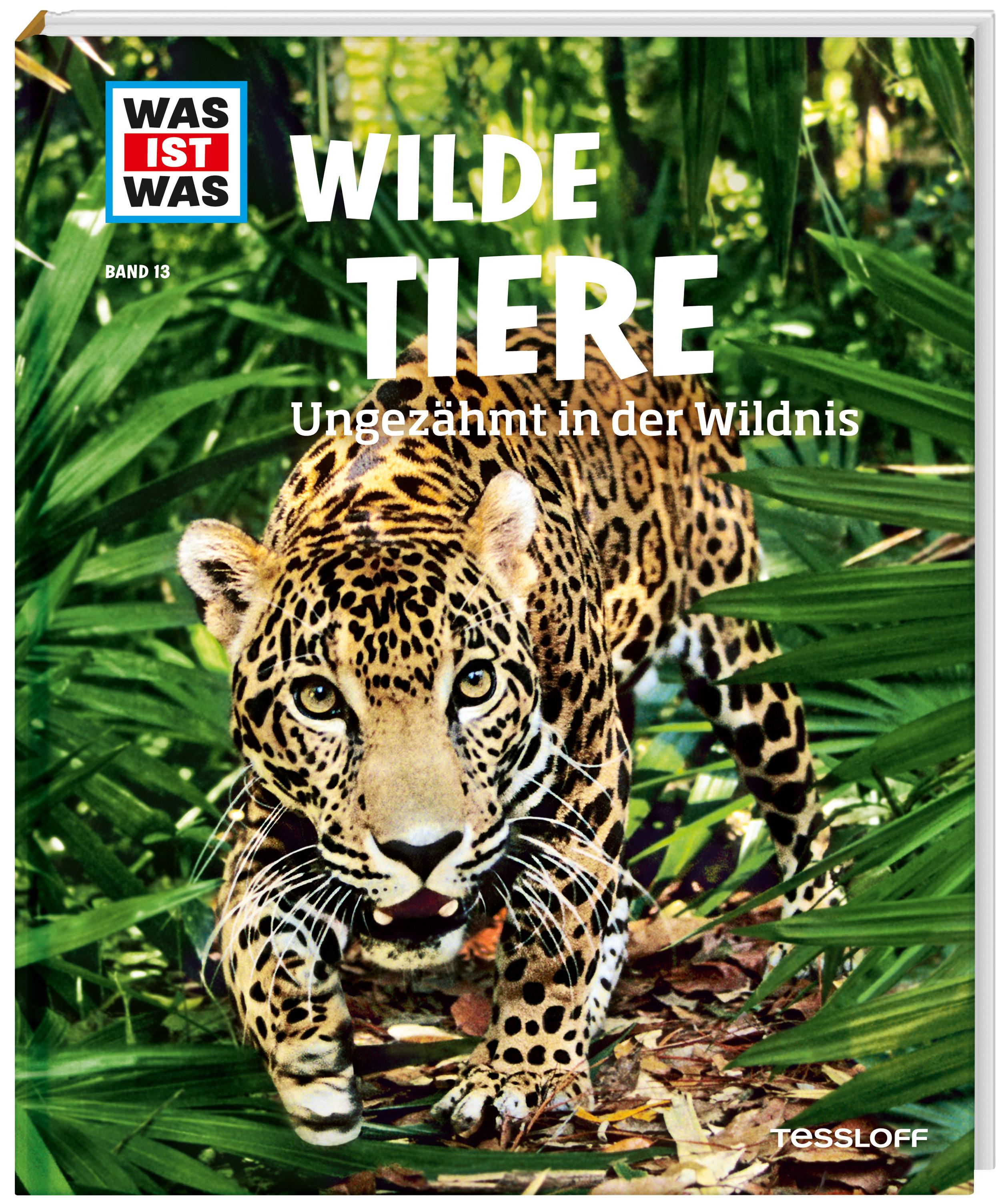 WAS IST WAS Band 13 Wilde Tiere. Ungezähmt in der Wildnis