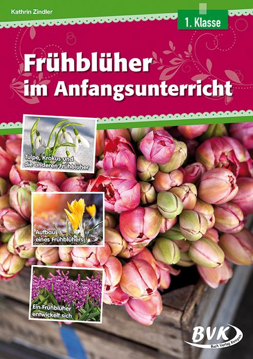 Frühblüher im Anfangsunterricht