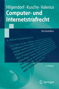 Computer- und Internetstrafrecht