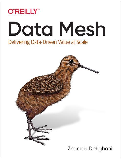 Data Mesh