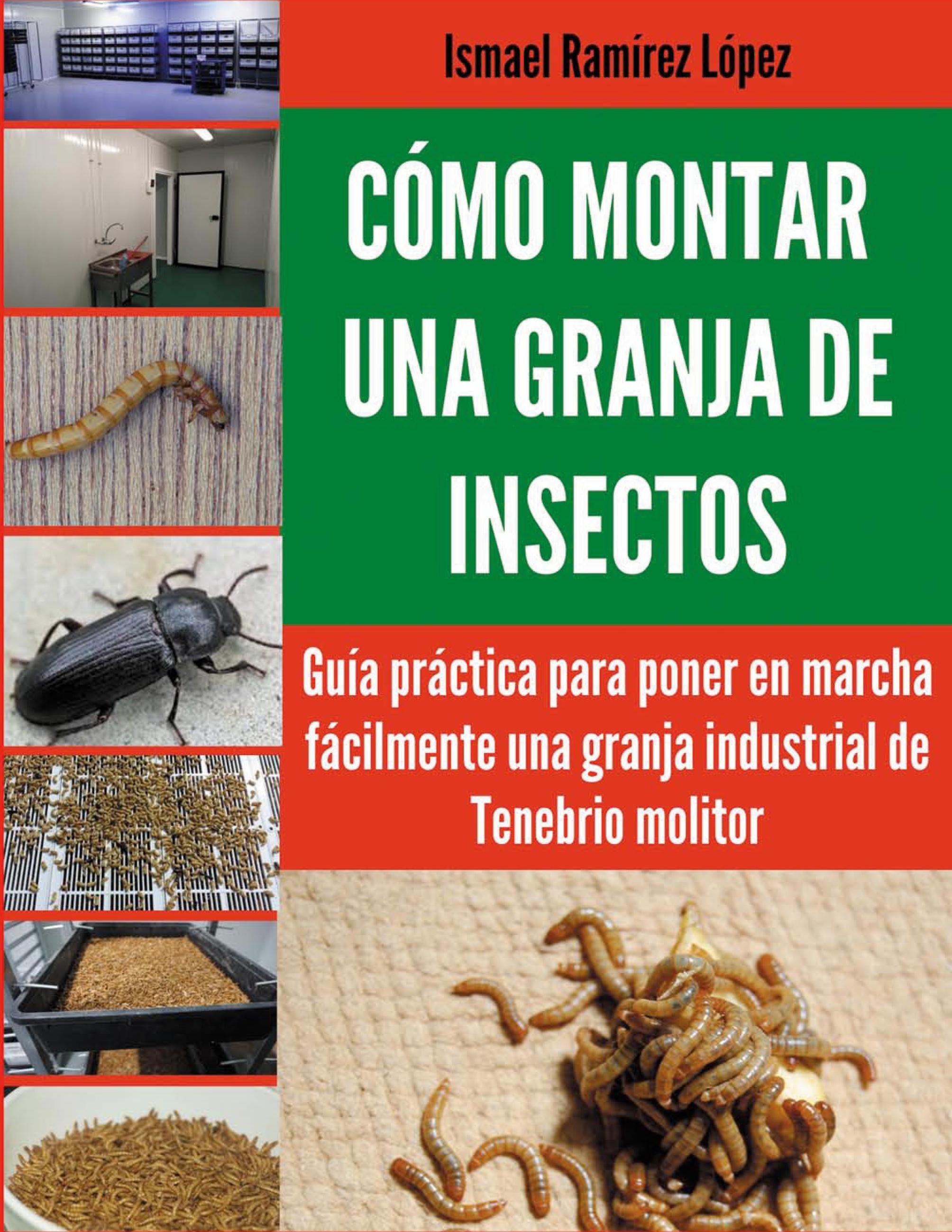 Cómo montar una granja de insectos