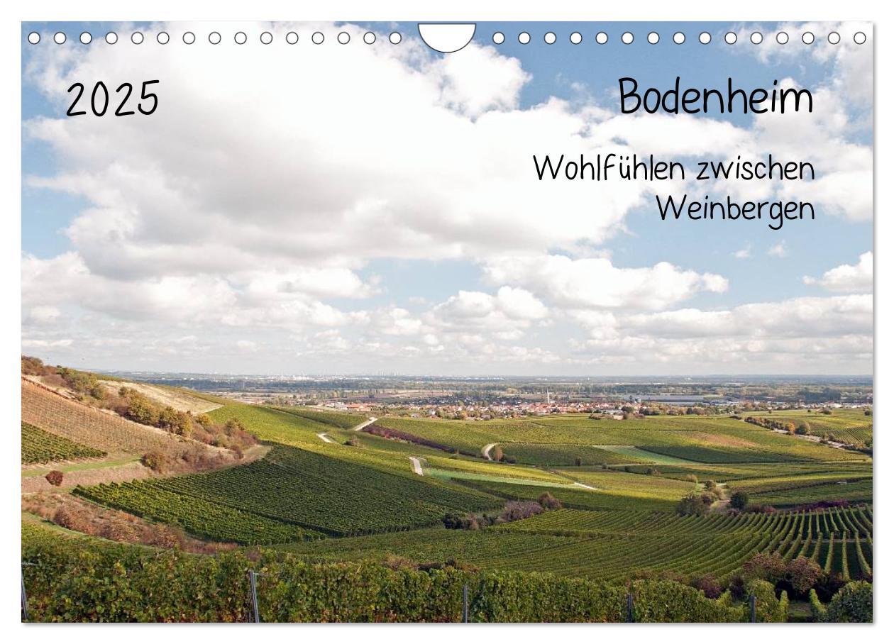 Bodenheim - Wohlfühlen zwischen Weinbergen (Wandkalender 2025 DIN A4 quer), CALVENDO Monatskalender