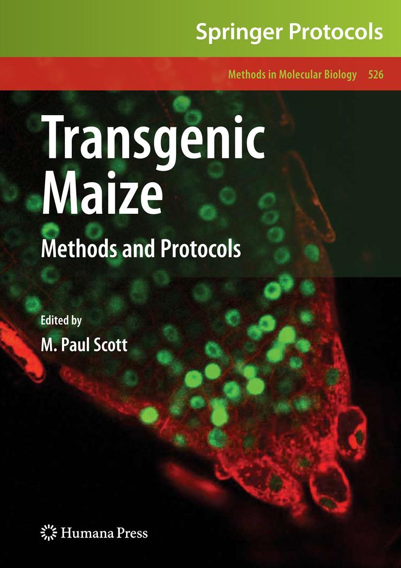 Transgenic Maize