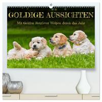 Goldige Aussichten - Mit Golden Retriever Welpen durch das Jahr (hochwertiger Premium Wandkalender 2025 DIN A2 quer), Kunstdruck in Hochglanz