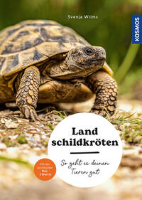 Landschildkröten