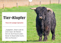 Tier-Klopfer (Wandkalender 2020 DIN A4 quer)