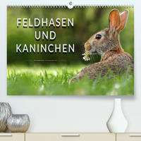 Feldhasen und Kaninchen (Premium, hochwertiger DIN A2 Wandkalender 2022, Kunstdruck in Hochglanz)