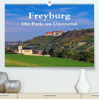 Freyburg - Die Perle im Unstruttal (Premium, hochwertiger DIN A2 Wandkalender 2022, Kunstdruck in Hochglanz)