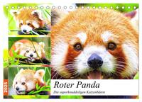 Roter Panda. Die superknuddeligen Katzenbären (Tischkalender 2025 DIN A5 quer), CALVENDO Monatskalender