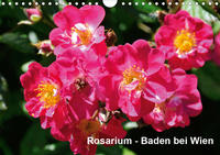 Baden bei Wien - Rosarium (Wandkalender 2020 DIN A4 quer)