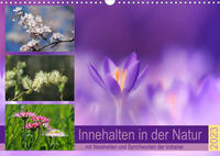 Innehalten in der Natur ... mit Weisheiten und Sprichworten der Indianer (Wandkalender 2023 DIN A3 quer)