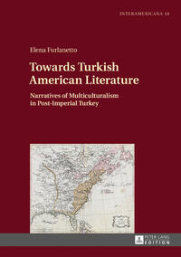 Towards Turkish American Literature