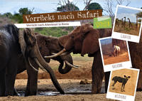 Verrückt nach Safari Verrückt nach Abenteuer in Kenia (Wandkalender 2023 DIN A2 quer)