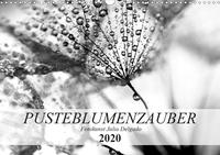 Pusteblumenzauber in schwarzweiß (Wandkalender 2020 DIN A3 quer)