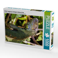 CALVENDO Puzzle Grüner Leguan im Tortuguero National Park 1000 Teile Lege-Größe 48 x 64 cm Foto-Puzzle Bild von Dirk Stamm