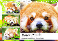 Roter Panda. Die superknuddeligen Katzenbären (Tischkalender 2021 DIN A5 quer)