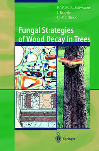 Fungal Strategies of Wood Decay in Trees