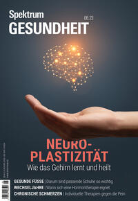 Spektrum Gesundheit - Neuroplastizität