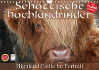 Schottische Hochlandrinder - Highland Cattle im Portrait (Wandkalender 2023 DIN A4 quer)