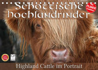 Schottische Hochlandrinder - Highland Cattle im Portrait (Tischkalender 2023 DIN A5 quer)