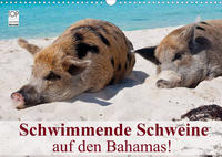 Schwimmende Schweine auf den Bahamas! (Wandkalender 2022 DIN A3 quer)