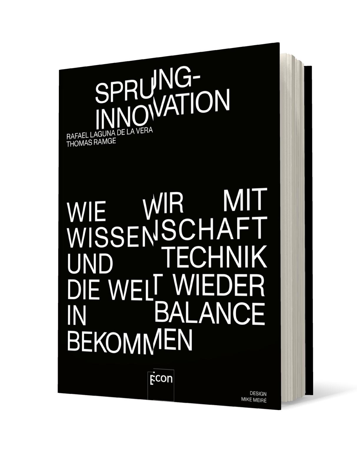 Sprunginnovation