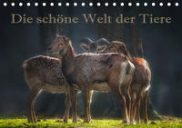 Die schöne Welt der Tiere (Tischkalender 2020 DIN A5 quer)