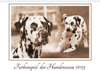 Farbenspiel der Hunderassen (Wandkalender 2023 DIN A3 quer)