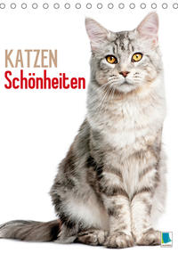 Katzen-Schönheiten (Tischkalender 2021 DIN A5 hoch)