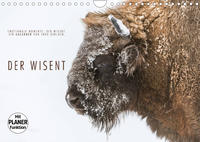 Emotionale Momente: Der Wisent. (Wandkalender 2023 DIN A4 quer)