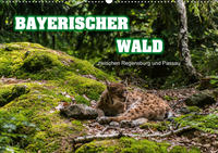 Bayerischer Wald (Wandkalender 2020 DIN A2 quer)