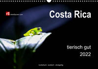 Costa Rica tierisch gut 2022 (Wandkalender 2022 DIN A3 quer)