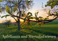 Apfelbaum und Streuobstwiesen (Wandkalender 2022 DIN A2 quer)