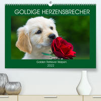 Goldige Herzensbrecher - Golden Retriever Welpen (Premium, hochwertiger DIN A2 Wandkalender 2022, Kunstdruck in Hochglanz)