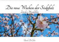 Die rosa Wochen der Südpfalz (Wandkalender 2023 DIN A2 quer)