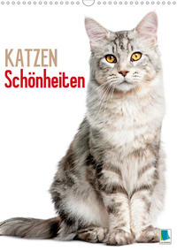 Katzen-Schönheiten (Wandkalender 2021 DIN A3 hoch)