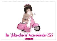 Der "philosophische" Katzenkalender 2025 (Wandkalender 2025 DIN A2 quer), CALVENDO Monatskalender