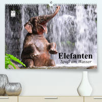 Elefanten. Spaß am Wasser (Premium, hochwertiger DIN A2 Wandkalender 2023, Kunstdruck in Hochglanz)