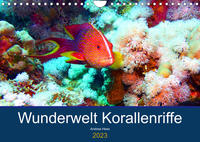 Wunderwelt Korallenriffe (Wandkalender 2023 DIN A4 quer)