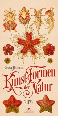 Kunst-Formen der Natur - Ernst Haeckel Kalender 2022