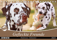 Gefleckte Freunde - Hunderasse Dalmatiner (Tischkalender 2023 DIN A5 quer)