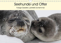 Seehunde und Otter. Putzige Gesellen, perfekte Schwimmer (Wandkalender 2023 DIN A4 quer)