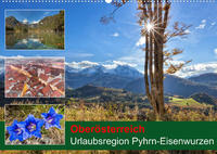 Oberösterreich Urlaubsregion Pyhrn-Eisenwurzen (Wandkalender 2022 DIN A2 quer)