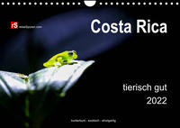 Costa Rica tierisch gut 2022 (Wandkalender 2022 DIN A4 quer)