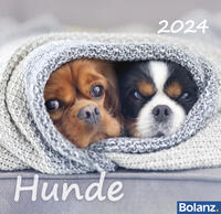 Hunde 2024