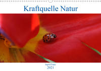 Kraftquelle Natur (Wandkalender 2021 DIN A3 quer)