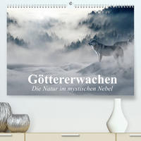 Göttererwachen. Die Natur im mystischen Nebel (Premium, hochwertiger DIN A2 Wandkalender 2022, Kunstdruck in Hochglanz)