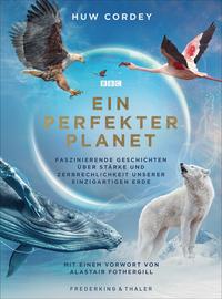 Ein perfekter Planet